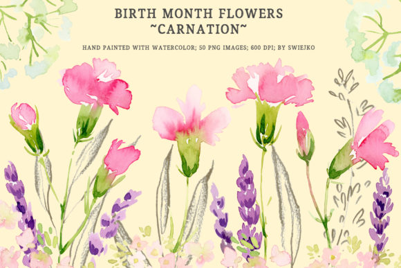 Birth Month Flowers - Carnation Illustrations for Creative Sellers
