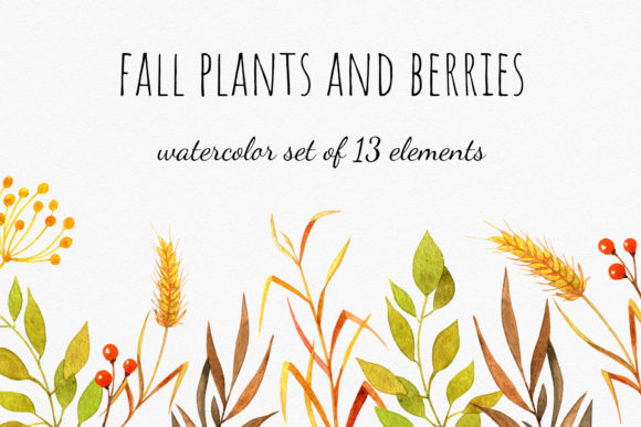 Fall Plants and Berries Clipart: A Seasonal Illustrations Review for Brand Marketers