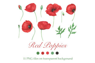Red Poppies Flowers Clipart: A Versatile Illustration for Editorial & Web Design