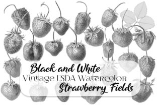Vintage Black and White Strawberries: A Timeless Illustration for Content Publishers